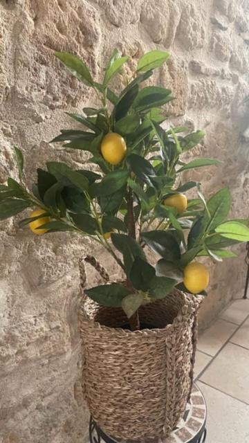 Le Grand Rouget Daire Beaucaire  Dış mekan fotoğraf