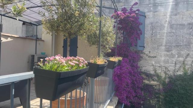 Le Grand Rouget Daire Beaucaire  Dış mekan fotoğraf
