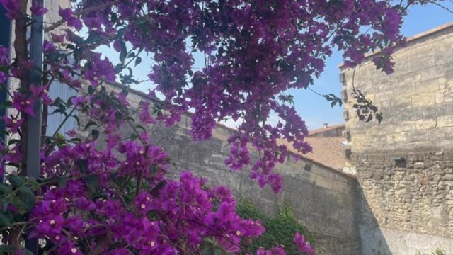 Le Grand Rouget Daire Beaucaire  Dış mekan fotoğraf